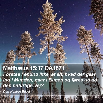 Matthæus 15:17 DA1871 Bible Verse Image
