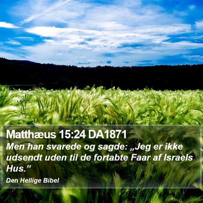Matthæus 15:24 DA1871 Bible Verse Image