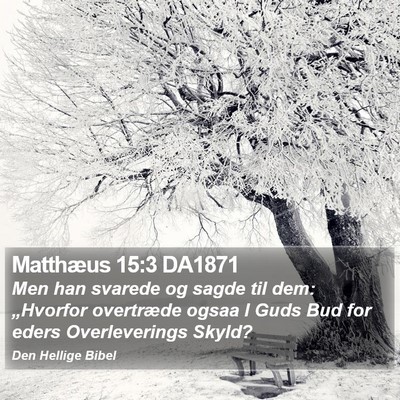 Matthæus 15:3 DA1871 Bible Verse Image