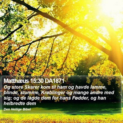 Matthæus 15:30 DA1871 Bible Verse Image