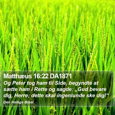 Matthæus 16:22 DA1871 Bible Verse Image