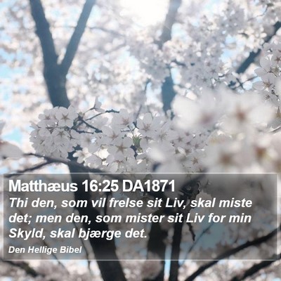 Matthæus 16:25 DA1871 Bible Verse Image