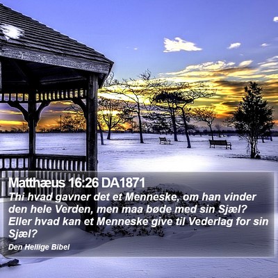 Matthæus 16:26 DA1871 Bible Verse Image