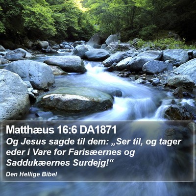Matthæus 16:6 DA1871 Bible Verse Image