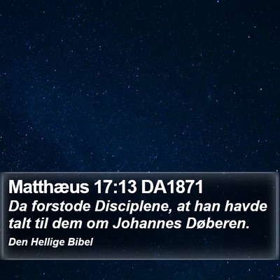 Matthæus 17:13 DA1871 Bible Verse Image