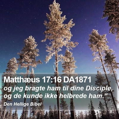 Matthæus 17:16 DA1871 Bible Verse Image