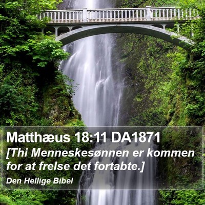Matthæus 18:11 DA1871 Bible Verse Image