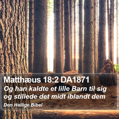 Matthæus 18:2 DA1871 Bible Verse Image