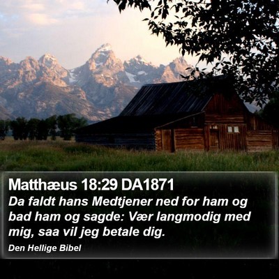 Matthæus 18:29 DA1871 Bible Verse Image