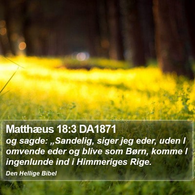 Matthæus 18:3 DA1871 Bible Verse Image