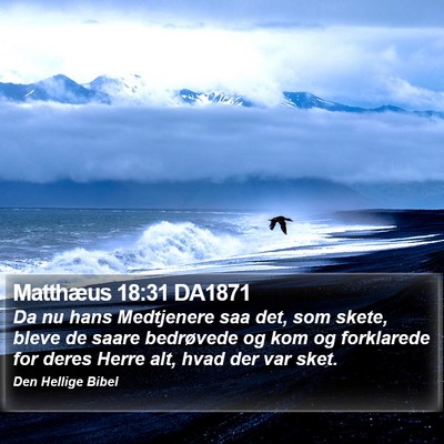 Matthæus 18:31 DA1871 Bible Verse Image