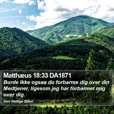 Matthæus 18:33 DA1871 Bible Verse Image