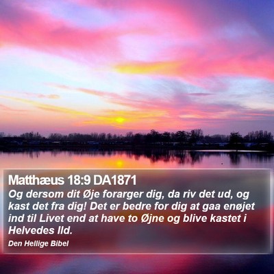 Matthæus 18:9 DA1871 Bible Verse Image