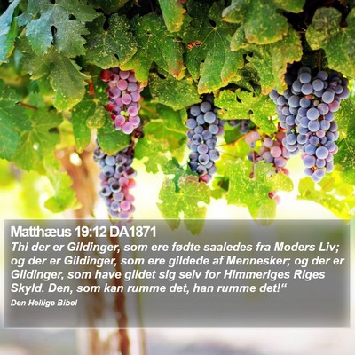 Matthæus 19:12 DA1871 Bible Verse Image