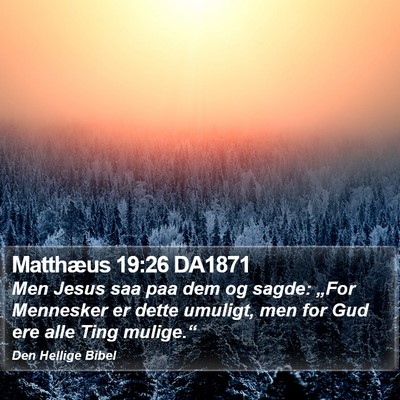 Matthæus 19:26 DA1871 Bible Verse Image