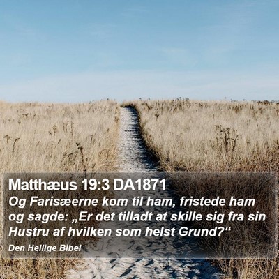 Matthæus 19:3 DA1871 Bible Verse Image