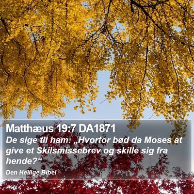 Matthæus 19:7 DA1871 Bible Verse Image