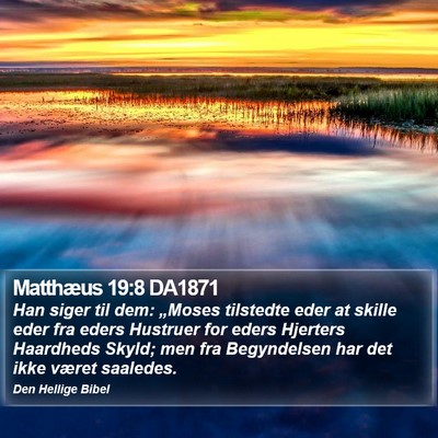 Matthæus 19:8 DA1871 Bible Verse Image