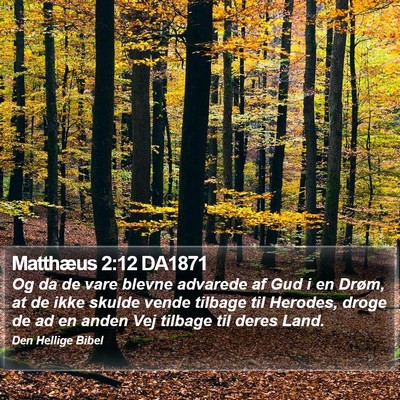 Matthæus 2:12 DA1871 Bible Verse Image