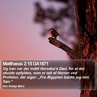 Matthæus 2:15 DA1871 Bible Verse Image