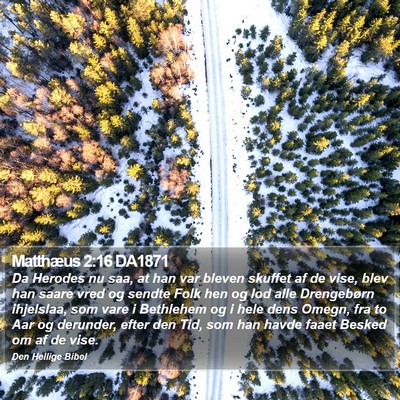 Matthæus 2:16 DA1871 Bible Verse Image