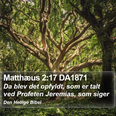 Matthæus 2:17 DA1871 Bible Verse Image
