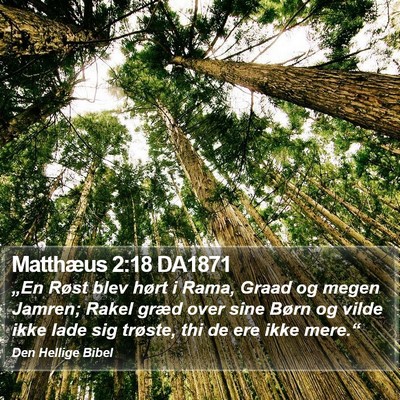 Matthæus 2:18 DA1871 Bible Verse Image
