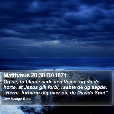Matthæus 20:30 DA1871 Bible Verse Image