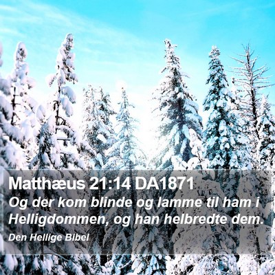 Matthæus 21:14 DA1871 Bible Verse Image
