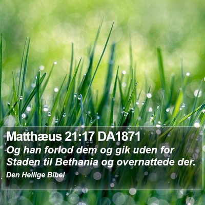 Matthæus 21:17 DA1871 Bible Verse Image
