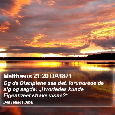 Matthæus 21:20 DA1871 Bible Verse Image