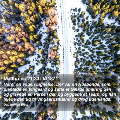 Matthæus 21:33 DA1871 Bible Verse Image