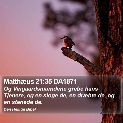 Matthæus 21:35 DA1871 Bible Verse Image