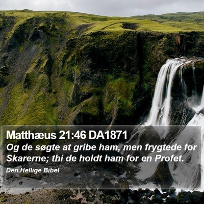 Matthæus 21:46 DA1871 Bible Verse Image