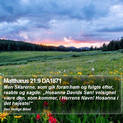 Matthæus 21:9 DA1871 Bible Verse Image