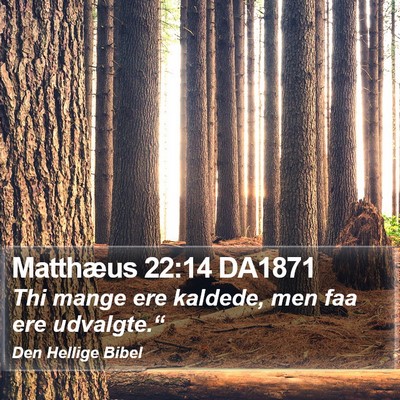 Matthæus 22:14 DA1871 Bible Verse Image