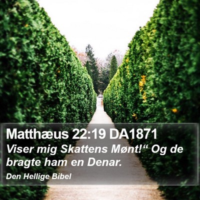 Matthæus 22:19 DA1871 Bible Verse Image