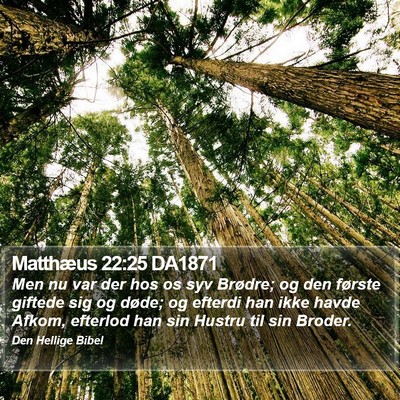 Matthæus 22:25 DA1871 Bible Verse Image