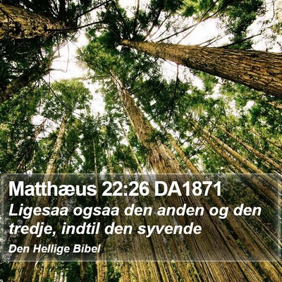 Matthæus 22:26 DA1871 Bible Verse Image