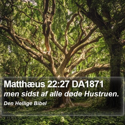 Matthæus 22:27 DA1871 Bible Verse Image