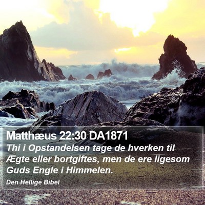 Matthæus 22:30 DA1871 Bible Verse Image