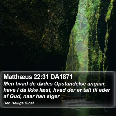 Matthæus 22:31 DA1871 Bible Verse Image