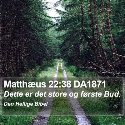 Matthæus 22:38 DA1871 Bible Verse Image