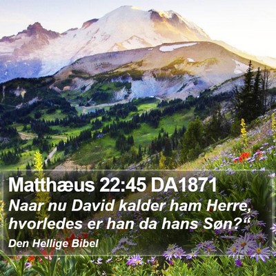 Matthæus 22:45 DA1871 Bible Verse Image