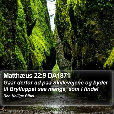Matthæus 22:9 DA1871 Bible Verse Image