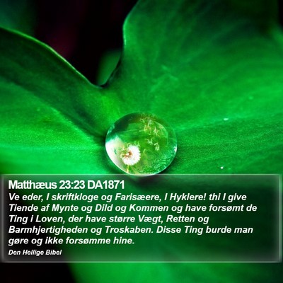 Matthæus 23:23 DA1871 Bible Verse Image