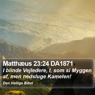 Matthæus 23:24 DA1871 Bible Verse Image