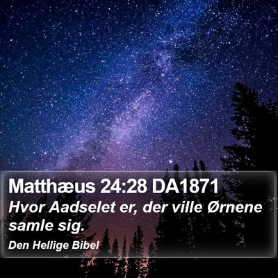 Matthæus 24:28 DA1871 Bible Verse Image