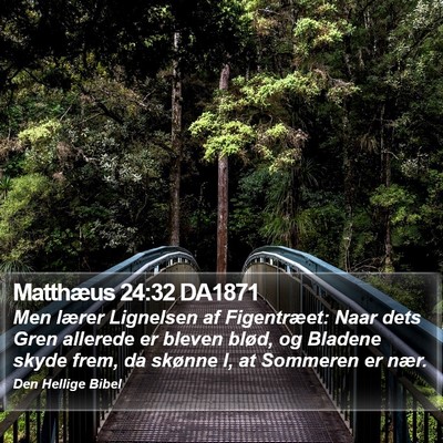 Matthæus 24:32 DA1871 Bible Verse Image