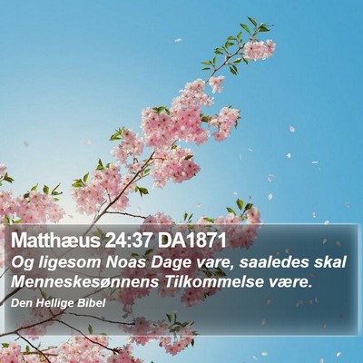 Matthæus 24:37 DA1871 Bible Verse Image